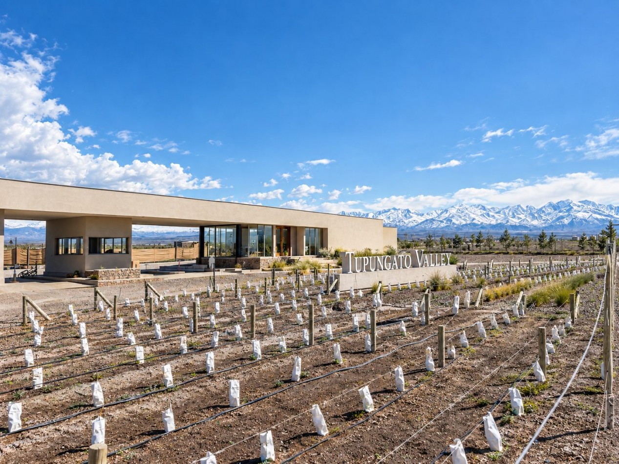 Exclusivo Lote de 1000 m² con Vista a la Coordillera de los Andes - Tupungato Valley
