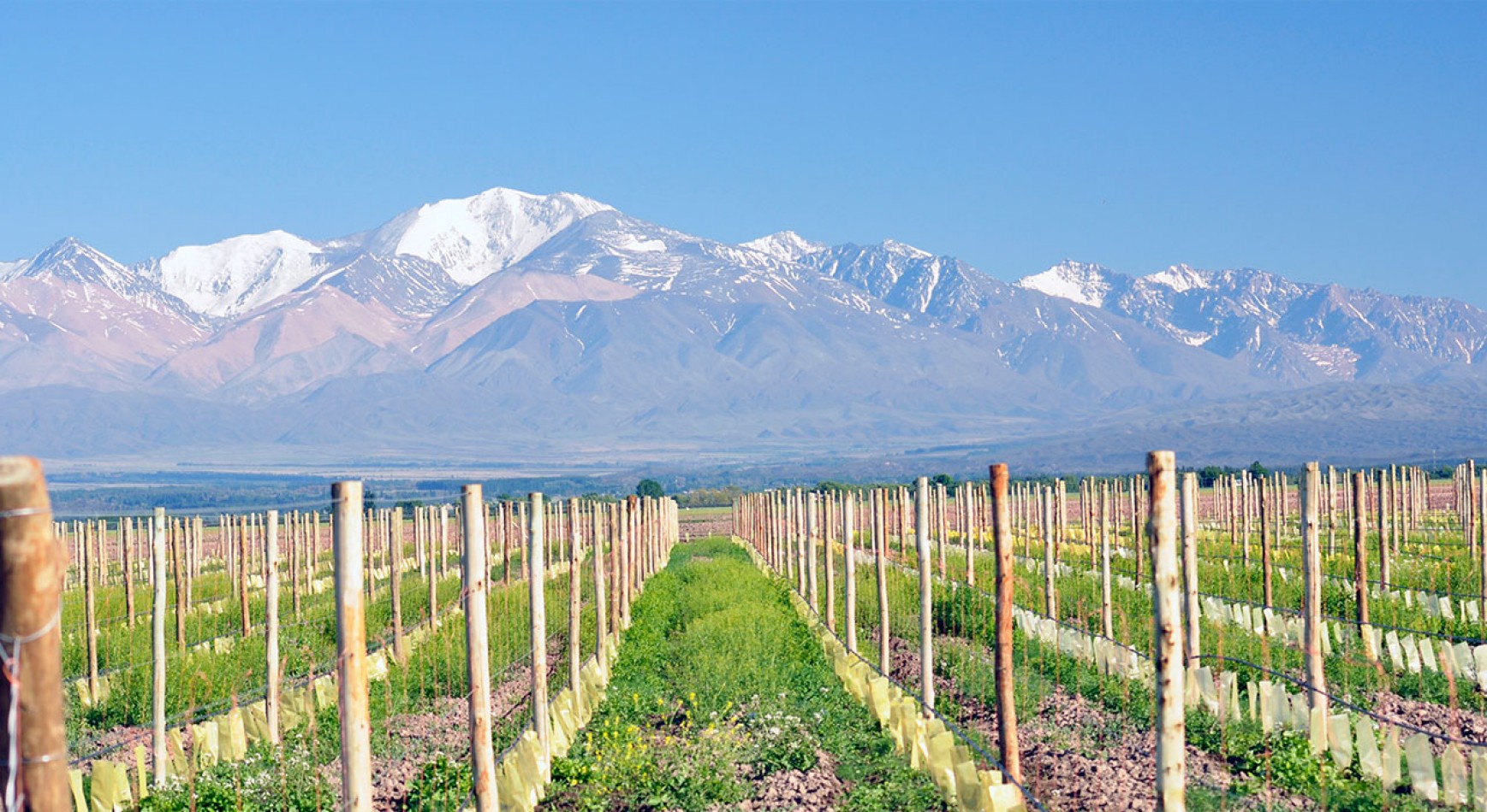 Exclusivo Lote de 1000 m² con Vista a la Coordillera de los Andes - Tupungato Valley