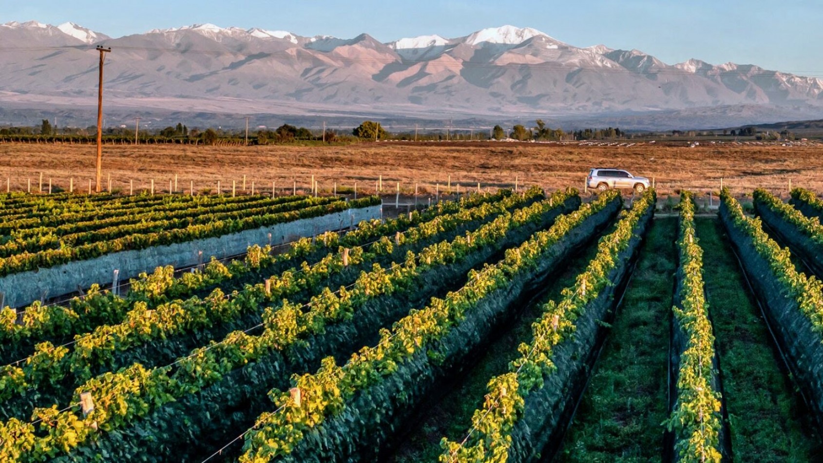 Exclusivo Lote de 1000 m² con Vista a la Coordillera de los Andes - Tupungato Valley