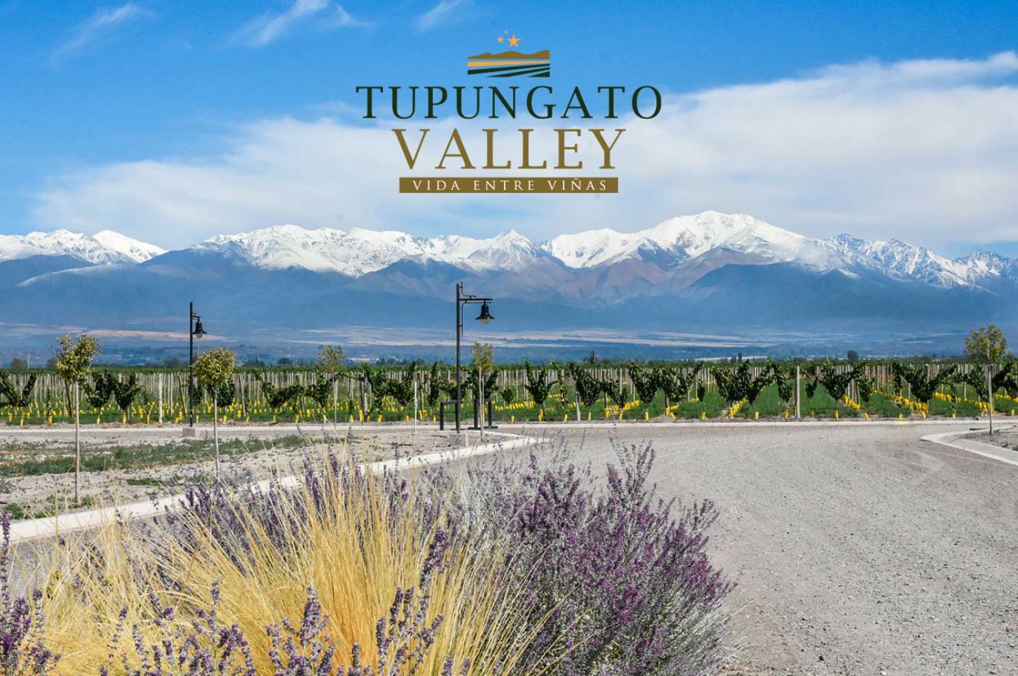 Exclusivo Lote de 1000 m² con Vista a la Coordillera de los Andes - Tupungato Valley