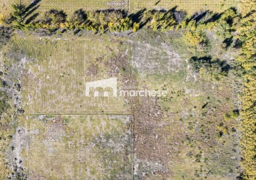 Finca de 6,3 hectareas en blanco en Colonia Elena