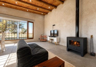 Finca Productiva de 36 Hectareas con Viñedos, Casa Nueva y Gran Potencial de Desarrollo en Venta - San Rafael, Mendoza