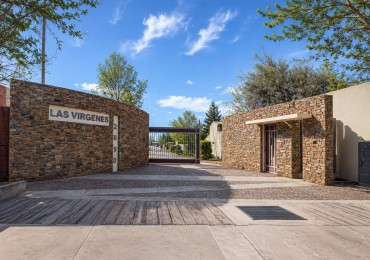 Lote en Venta en Las Paredes con Todos los Servicios - 600 m² en San Rafael, Mendoza