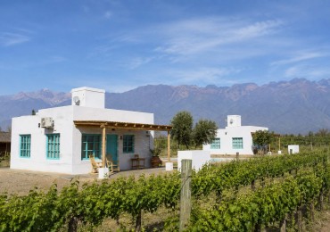 Complejo Turistico con Vista a los Andes en Venta en Valle de Uco | 2 Cabañas, Piscina y Viñedos
