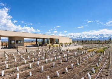 Exclusivo Lote de 1000 m² con Vista a la Coordillera de los Andes - Tupungato Valley